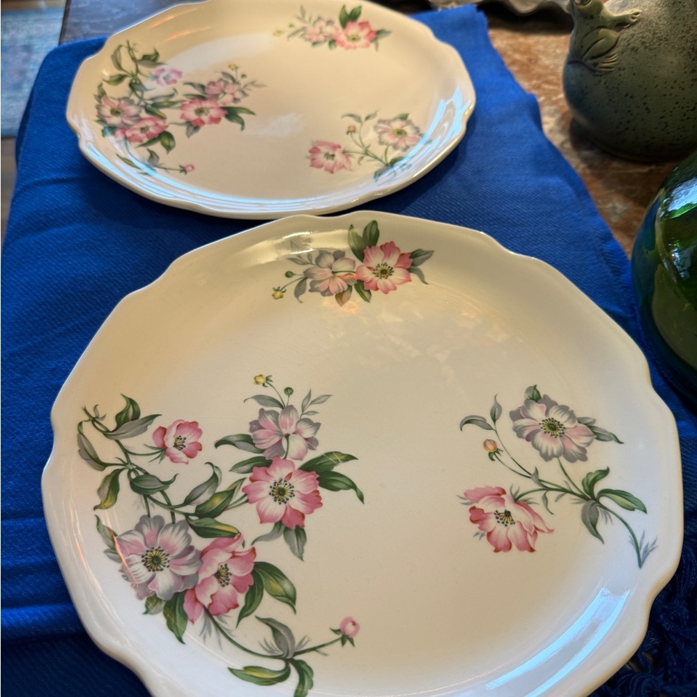 Beautiful Set of 2 Cottage Wild Rose Dinner Plates
